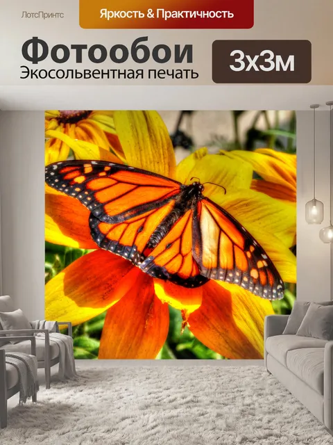 Фотообои Бабочка монарх