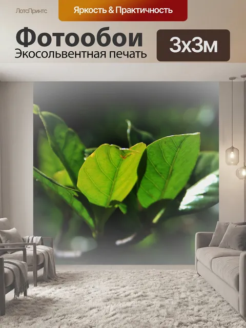 Фотообои гардении листья