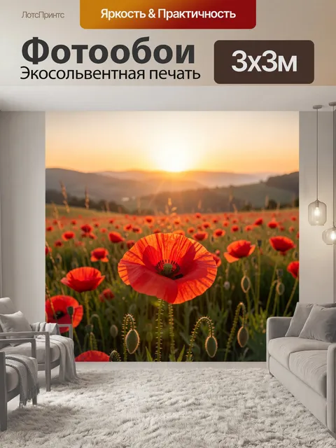 Фотообои Красные маки на закате
