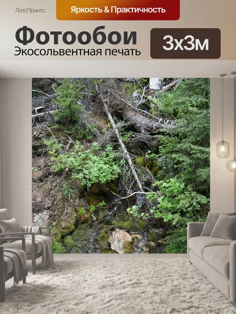 Фотообои Лес Деревья Брук поток