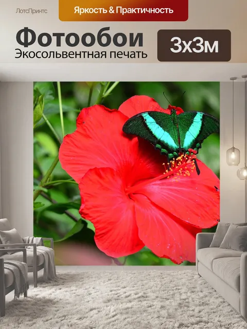 Фотообои Изумрудные махаон