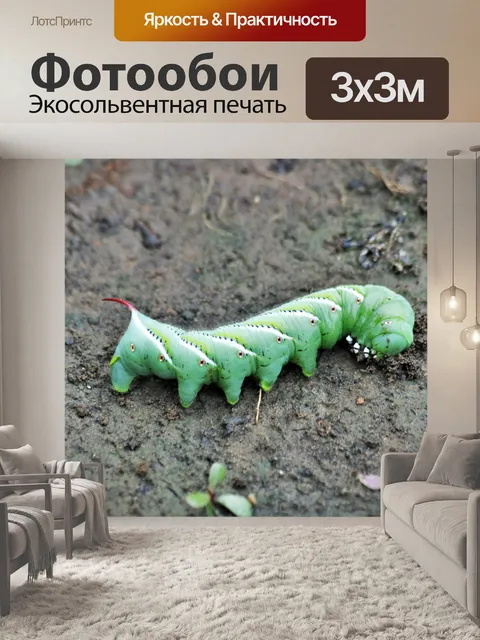 Фотообои Томатный червь