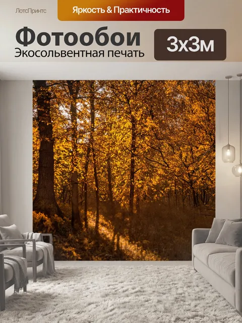 Фотообои коричневые деревья в осеннем лесу, их листья переливаются на солнце, создавая золотистый свет