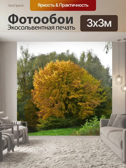 Фотообои Падение