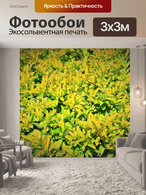 Фотообои зеленый и желтый листва