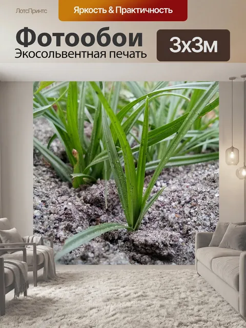 Фотообои Природа жизнь красота зеленый