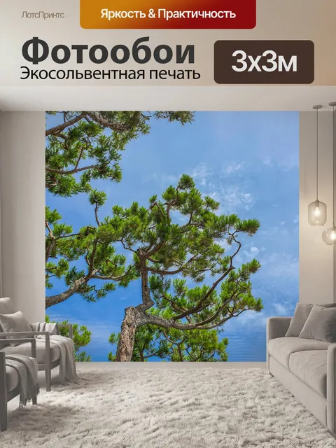 Фотообои Сосна и голубое небо
