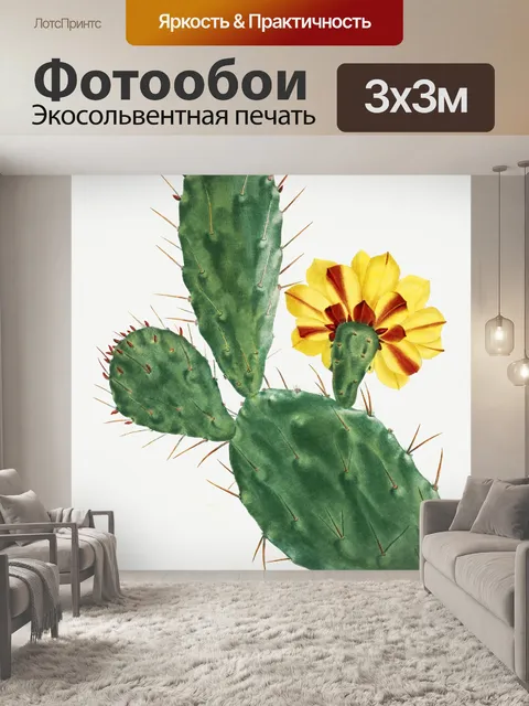 Фотообои Кактус cacti art vintage