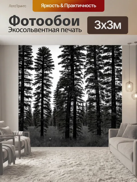 Фотообои лес в стиле минимализм, черно-белое изображение сосаников, текстура коры и веток, акцент на детали