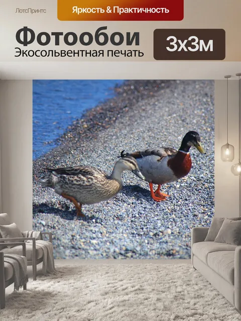 Фотообои Мандарин