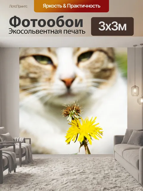 Фотообои Кошка