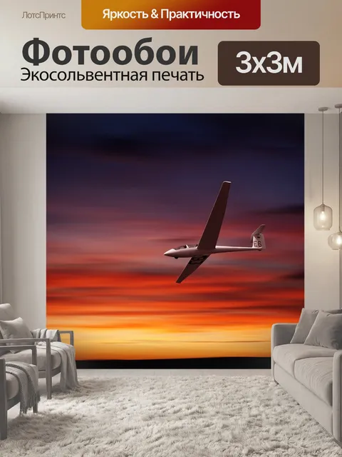 Фотообои Планер
