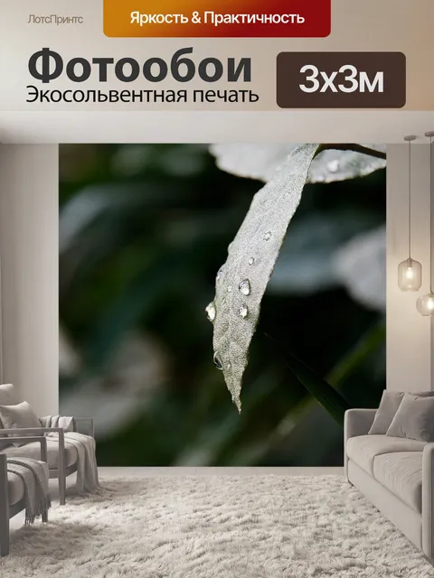 Фотообои Листья