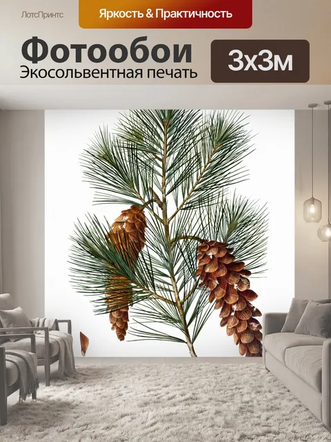 Фотообои Сосновые ветки шишки винтаж старые