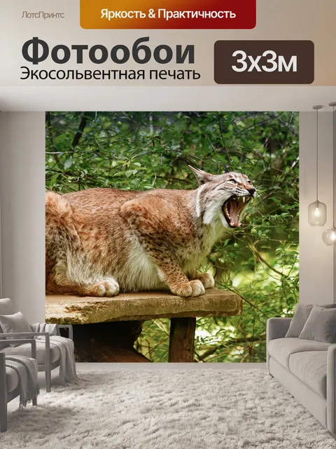 Фотообои Рысь