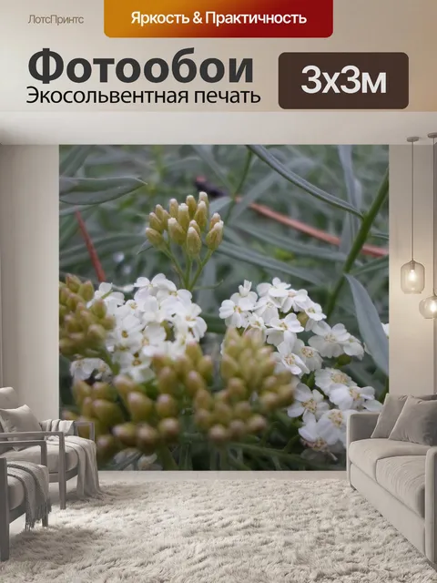Фотообои Маленький белый цветок листва