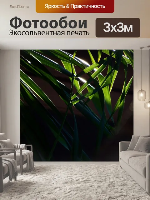 Фотообои Солнечный свет сквозь леса
