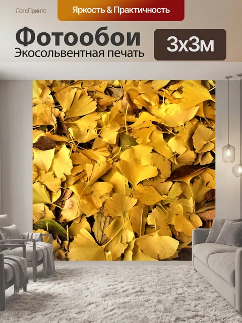 Фотообои Гинкго дерево