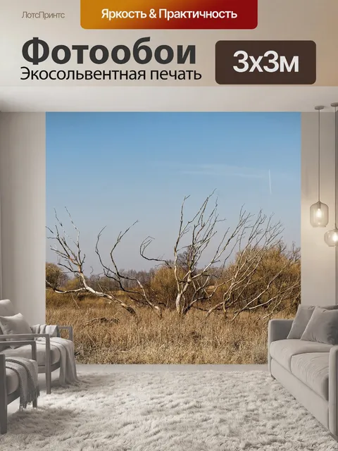 Фотообои Весна