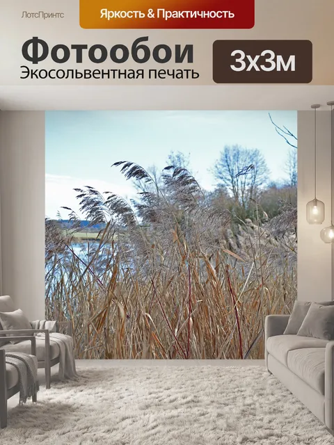 Фотообои Тростник