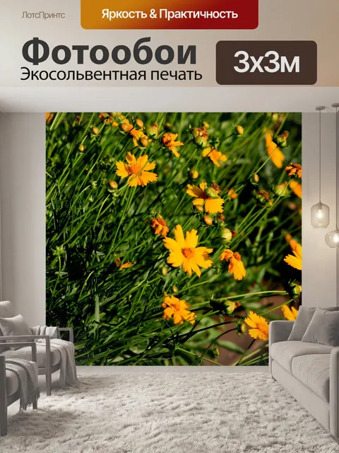 Фотообои участок желтыми ромашками
