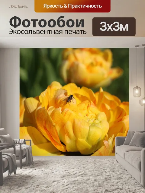 Фотообои Желтые тюльпаны
