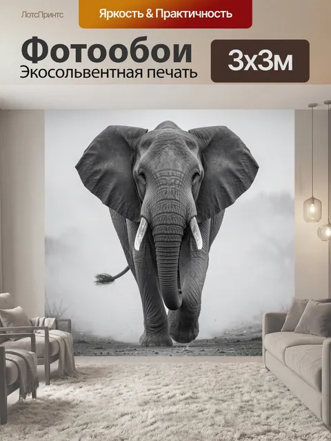 Фотообои Слон в туманной саванне
