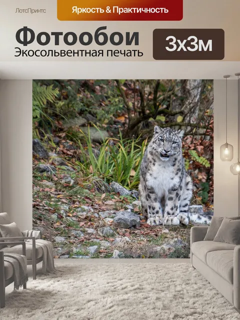 Фотообои Снежный барс