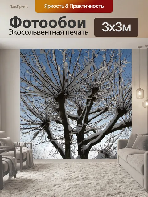 Фотообои Платан