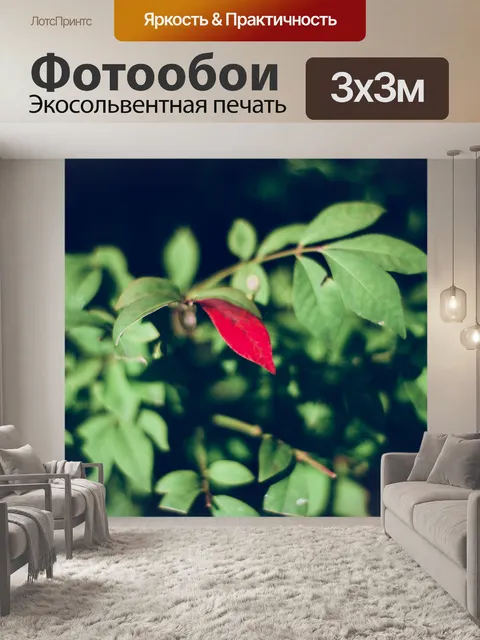 Фотообои Листья