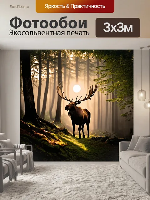 Фотообои густой лес окутан туманом
