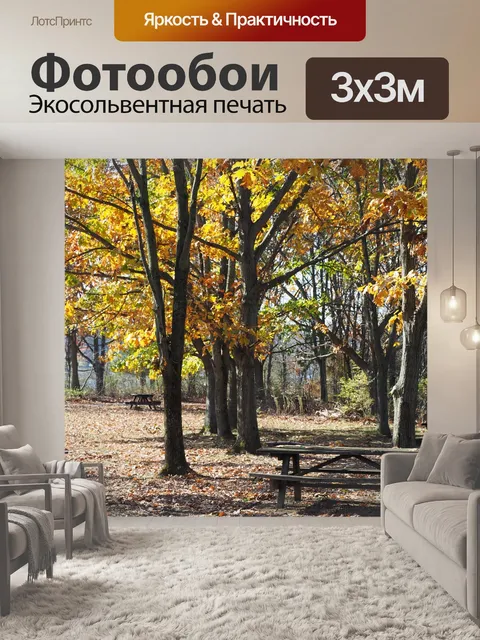 Фотообои Стол для пикника