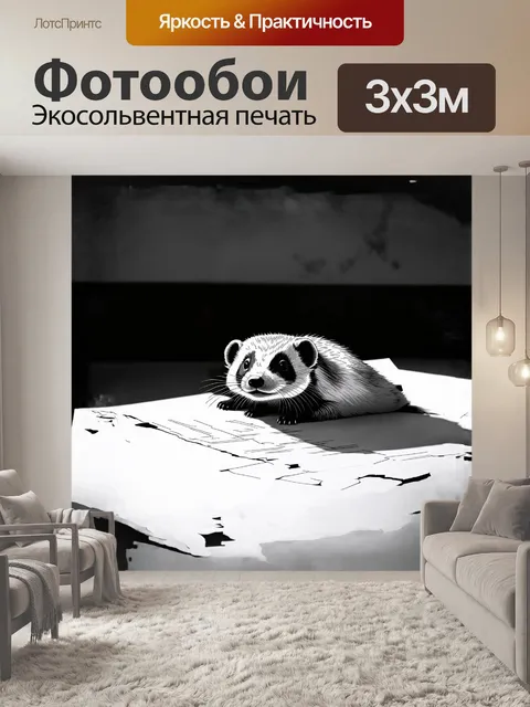 Фотообои спокойная сцена, где хорек нежно лежит на белом листе бумаги, окруженный мягкими тенями