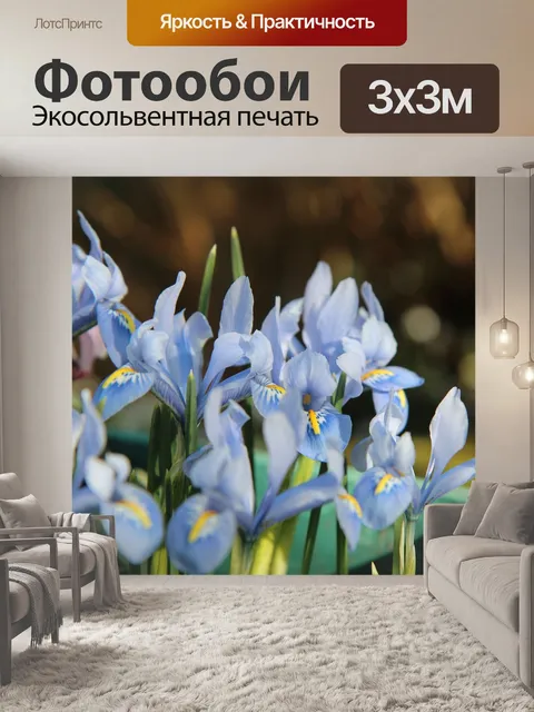 Фотообои Ирис