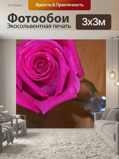 Фотообои Роза