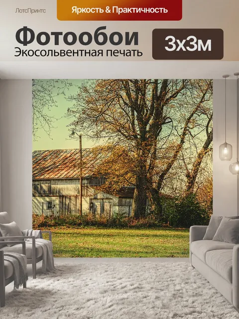 Фотообои Сарай