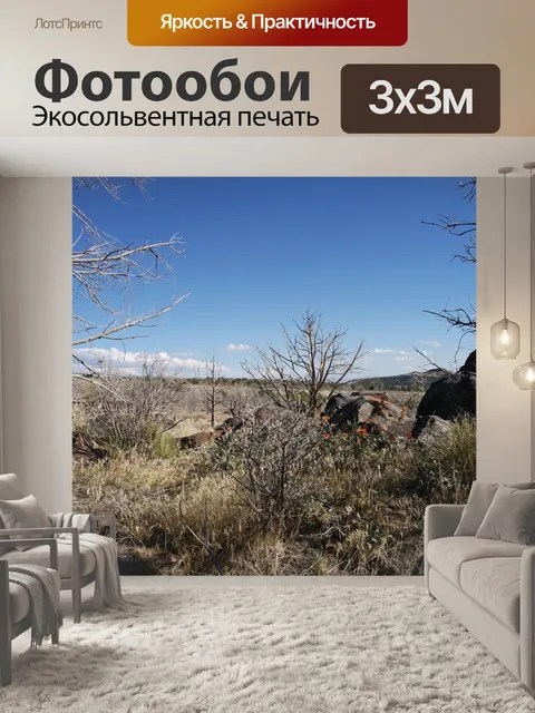 Фотообои Небо