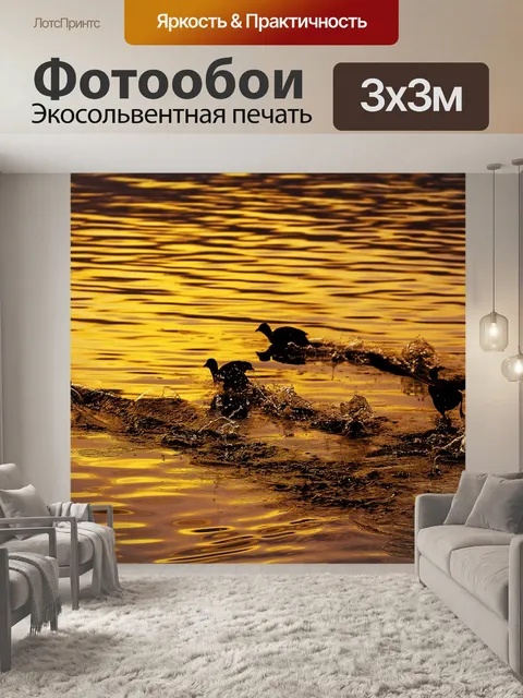 Фотообои Птица