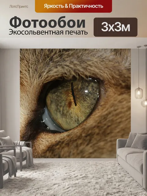 Фотообои Глаз кошки