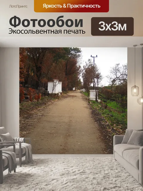 Фотообои белые колонны вдоль проспекта