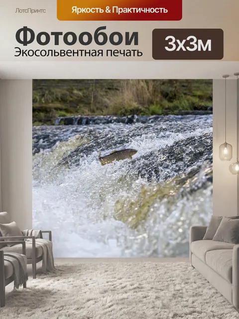 Фотообои Форель