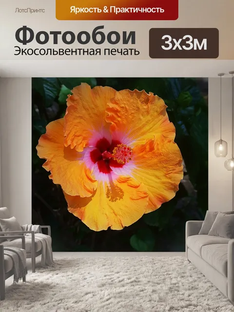 Фотообои Цветок