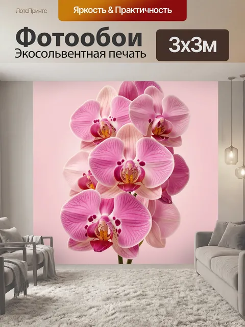 Фотообои Розовые орхидеи крупным планом