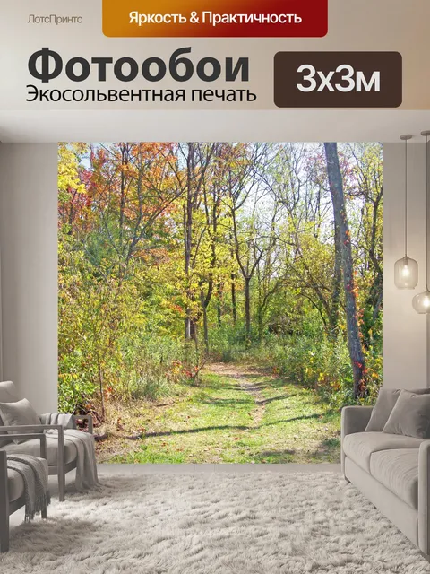 Фотообои Путь в лесах