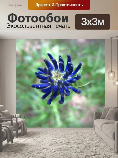 Фотообои Синий