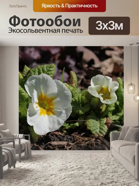 Фотообои Первоцвет