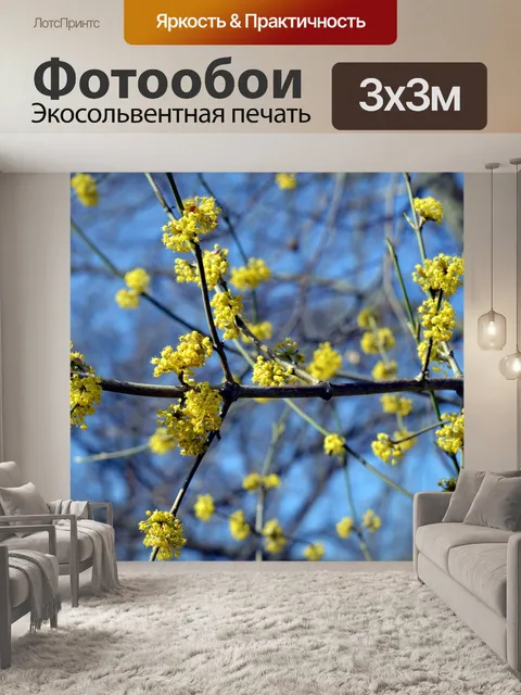 Фотообои Расцветает