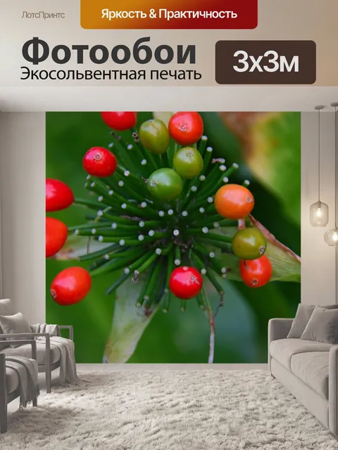 Фотообои Берри
