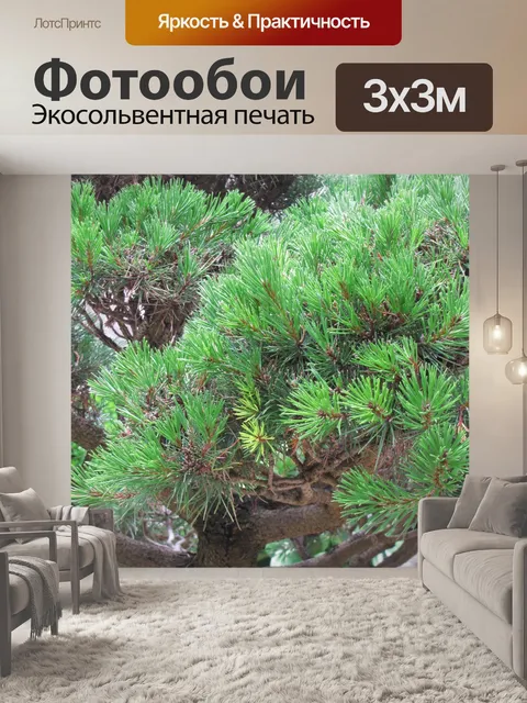 Фотообои Торн кустарников