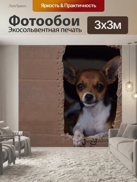 Фотообои Собака